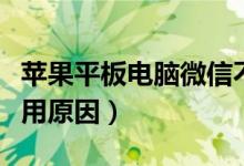 蘋果平板電腦微信不能使用怎么辦（了解不能用原因）