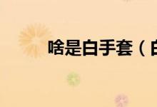 啥是白手套（白手套是什么職業(yè)）