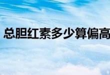 總膽紅素多少算偏高（總膽紅素多少算偏高）