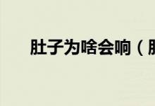 肚子為啥會(huì)響（肚子會(huì)響是怎么回事）