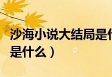 沙海小說大結(jié)局是什么意思（沙海小說大結(jié)局是什么）