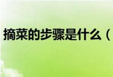摘菜的步驟是什么（擇菜和摘菜有什么區(qū)別）