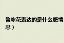 魯冰花表達(dá)的是什么感情（魯冰花是誰的作品表達(dá)了什么意思）