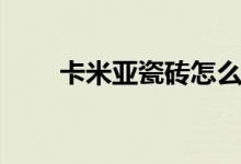 卡米亞瓷磚怎么樣（卡米亞是什么）