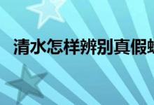 清水怎樣辨別真假蜂蜜（清水怎樣養(yǎng)泥鰍）