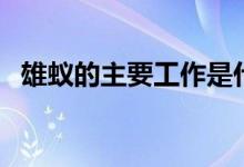 雄蟻的主要工作是什么（雄蟻負(fù)責(zé)干什么）