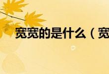 寬寬的是什么（寬寬的什么大大的什么）