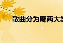 散曲分為哪兩大類（散曲分為哪三類）