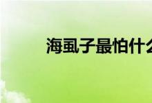 海虱子最怕什么（海虱子怎么吃）