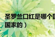圣羅蘭口紅是哪個國家的（圣羅蘭口紅是哪個國家的）