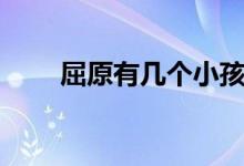 屈原有幾個(gè)小孩（屈原有幾個(gè)孩子）