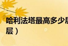 哈利法塔最高多少層（哈利法塔有多高有多少層）