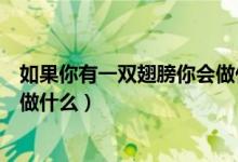 如果你有一雙翅膀你會做什么（作文如果你有一雙翅膀你會做什么）