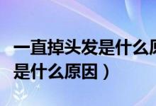 一直掉頭發(fā)是什么原因該怎么辦（一直掉頭發(fā)是什么原因）