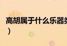 高胡屬于什么樂器類型（高胡屬于什么類樂器）