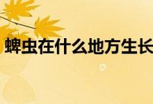 蜱蟲在什么地方生長（蜱蟲在什么地方最多）