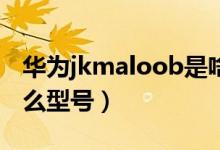 華為jkmaloob是啥型號(hào)（華為jkmtloo是什么型號(hào)）