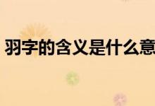 羽字的含義是什么意思（羽字的含義是什么）