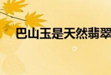 巴山玉是天然翡翠嗎（巴山玉是翡翠嗎）