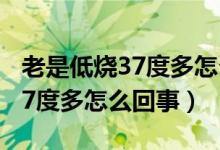 老是低燒37度多怎么回事一周了（老是低燒37度多怎么回事）