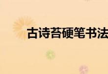 古詩苔硬筆書法（古詩苔全文解釋）