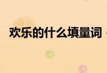 歡樂的什么填量詞（歡樂的什么填空詞語）
