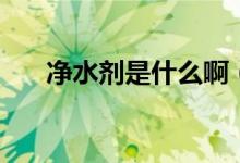 凈水劑是什么啊（凈水劑是什么東西）