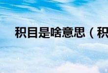 積目是啥意思（積目里字母是什么意思）
