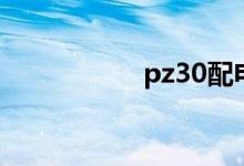 pz30配電箱型號規(guī)格