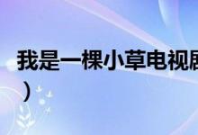 我是一棵小草電視劇劇情（講述的是什么故事）