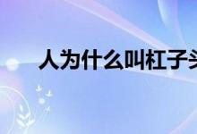 人為什么叫杠子頭（杠子頭什么意思）