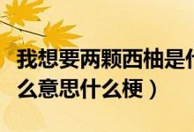 我想要兩顆西柚是什么梗（我想要兩顆西柚什么意思什么梗）