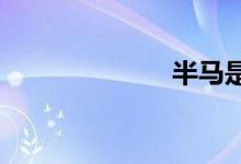 半馬是多少公里