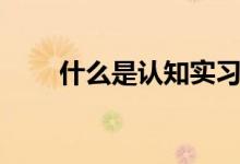 什么是認知實習（什么是認知主義）