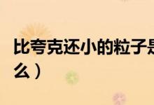 比夸克還小的粒子是什么（比夸克還小的是什么）