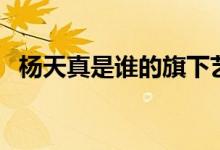 楊天真是誰的旗下藝人（楊天真是誰演的）