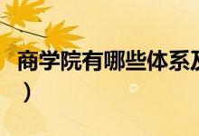 商學院有哪些體系及課程（商學院有哪些專業(yè)）