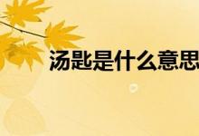 湯匙是什么意思（湯匙是什么意思）