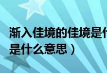 漸入佳境的佳境是什么意思（漸入佳境的意思是什么意思）