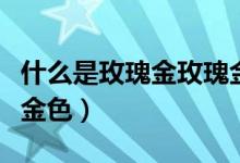 什么是玫瑰金玫瑰金多少錢一克（什么是玫瑰金色）