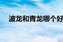 波龍和青龍哪個好吃（波龍和青龍區(qū)別）