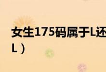 女生175碼屬于L還是XL（175碼屬于L還是XL）