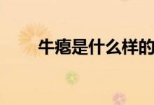 牛癟是什么樣的（牛癟是什么東西）