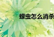 蠓蟲怎么消殺（蠓蟲怎么驅(qū)趕）