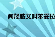 間羥胺又叫苯妥拉明（間羥胺又叫什么）
