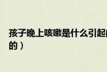 孩子晚上咳嗽是什么引起的（小孩晚間咳嗽是什么原因造成的）