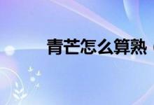 青芒怎么算熟（青芒怎么切開吃）