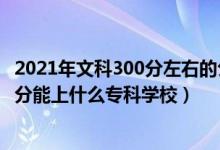 2021年文科300分左右的公辦專科大學（2022高考文科300分能上什么?？茖W校）