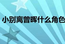 小別離曾暉什么角色（曾暉小別離演的什么）