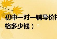 初中一對一輔導(dǎo)價(jià)格南京（初中一對一輔導(dǎo)價(jià)格多少錢）